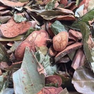 Lá tắm dao đỏ