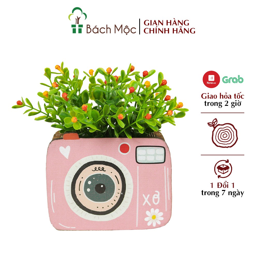 [Mã BMBAU50 giảm 7% đơn 99K] Lọ Hoa Gỗ Trang Trí BÁCH MỘC Để Bàn Kiểu Dáng Độc Đáo, Mới Lạ