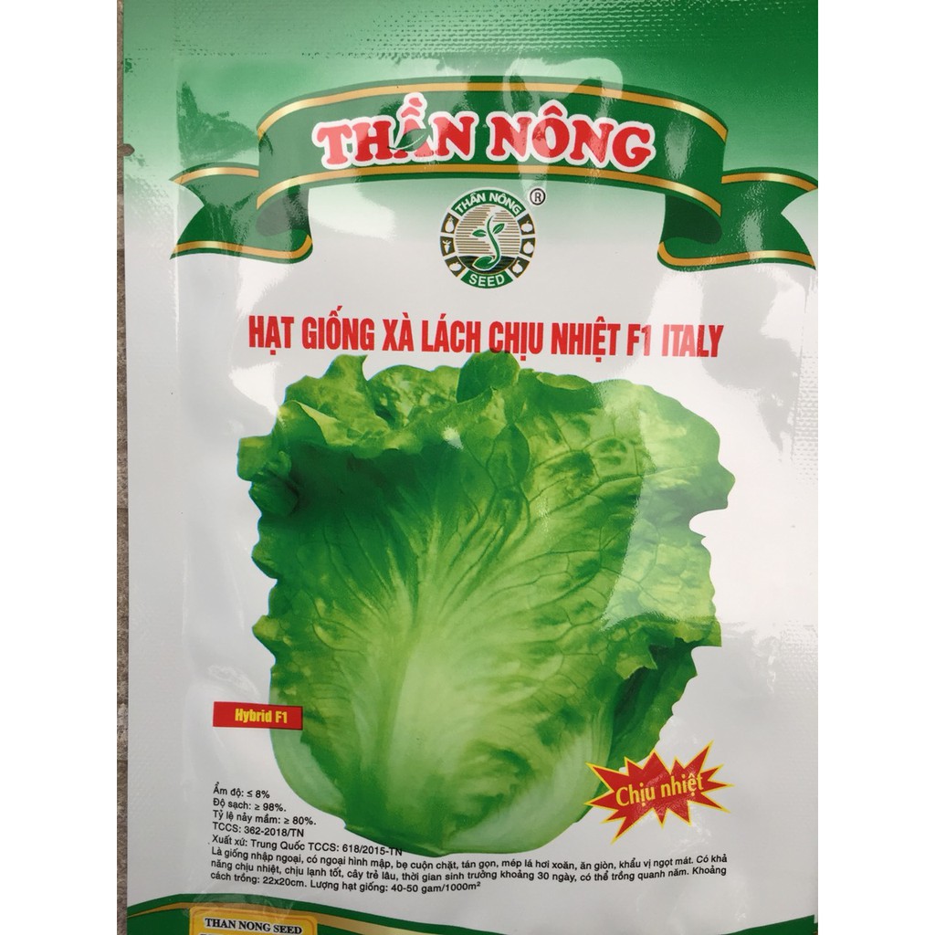 Hạt rau giống xà lách chịu nhiệt F1