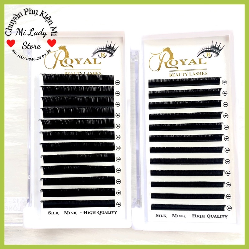 Mi khay ROYAL cao cấp độ cong D 8-15