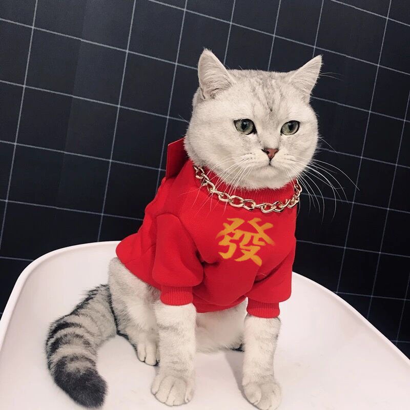 Quần áo cho mèo năm mới Chó bông mùa đông dễ thương màu đỏ Tết ấm Chống rụng