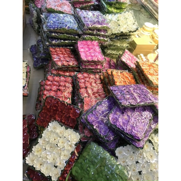 Hoa sen thả bát