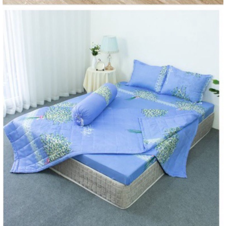 (rẻ vô địch) Bộ ga gối 5 món chăn thu hè ga chun vỏ gối đầu cotton poly khách hàng được chọn mẫu thoải mái khi đến shop | BigBuy360 - bigbuy360.vn