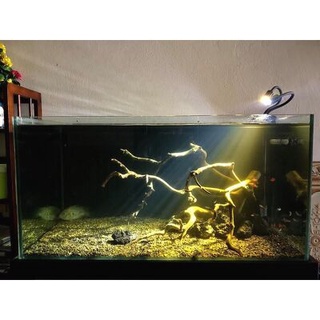 Đèn Led Rọi Biotop cho hồ cá thủy sinh