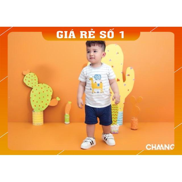 [Mã SR14MAY5 giảm 20K đơn 50K] Hàng chính hãng Áo phông kẻ ngang chaang/ size 6-36m