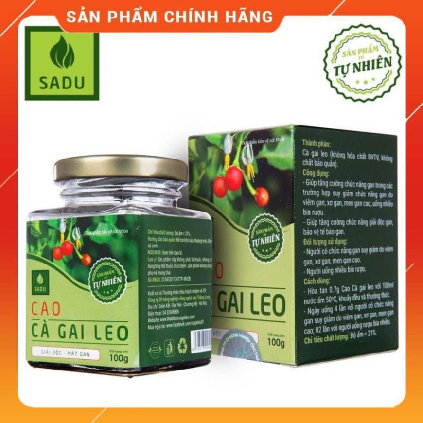 cà gai leo cao sadu - bảo vệ lá gan của bạn hằng ngày