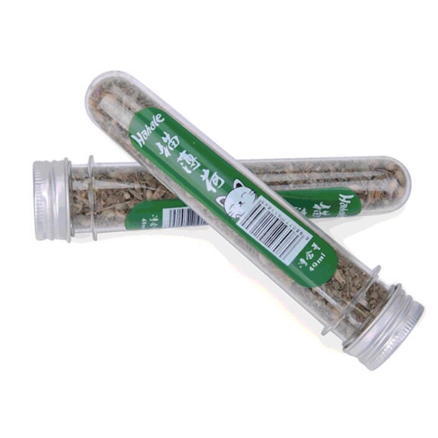 Cỏ Catnip cho mèo (cỏ mèo bạc hà)