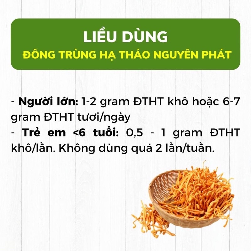 Nấm đông trùng hạ thảo cao cấp sỉ