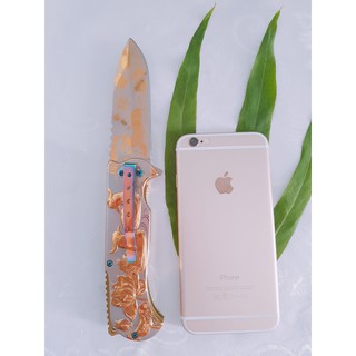 Dao Phượt Phượng Hoàng
