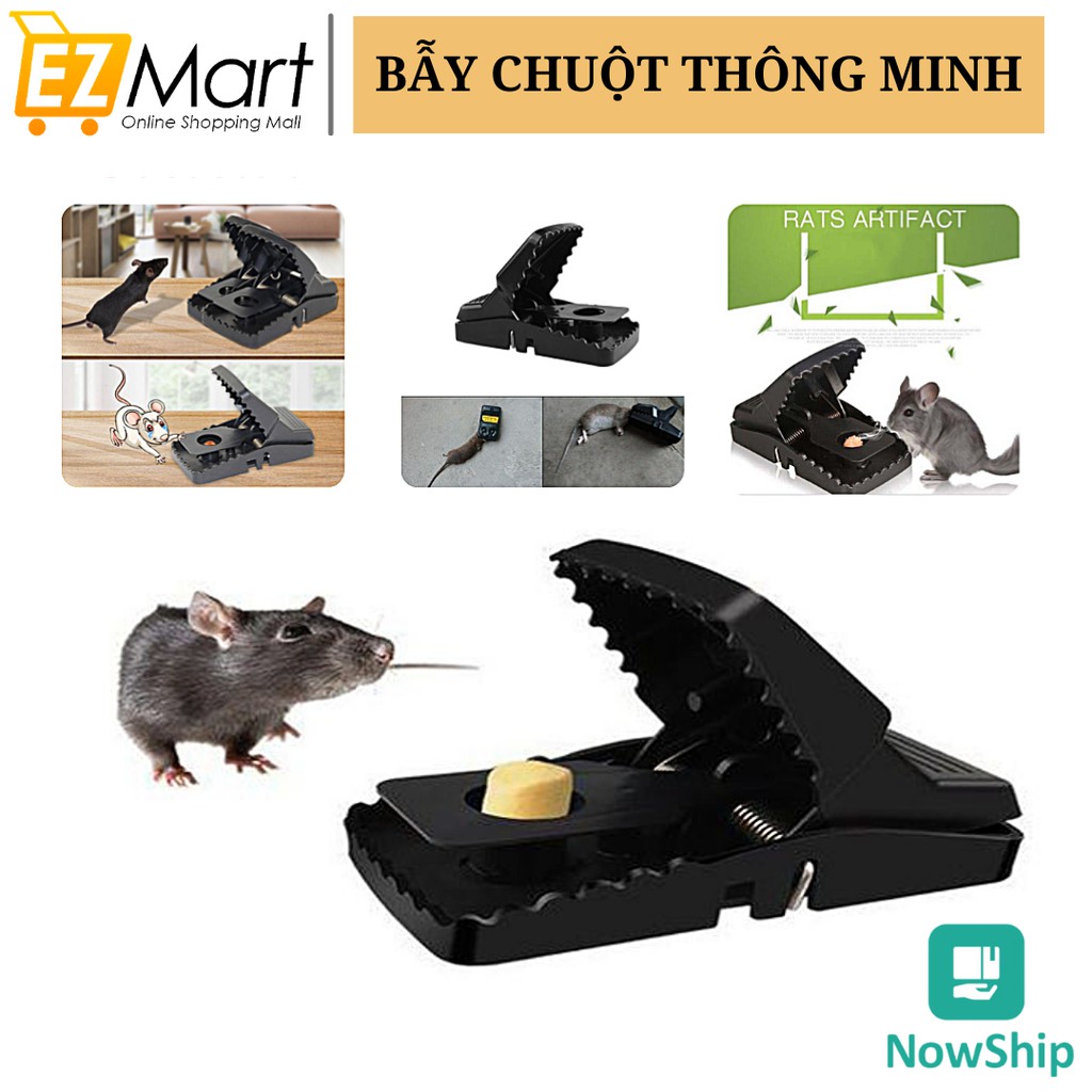 Bẫy Chuột Thông Minh-Giá Rẻ Hiệu Quả