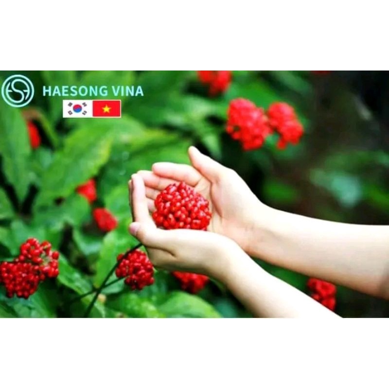 NƯỚC UỐNG QUẢ SÂM HÀN QUỐC