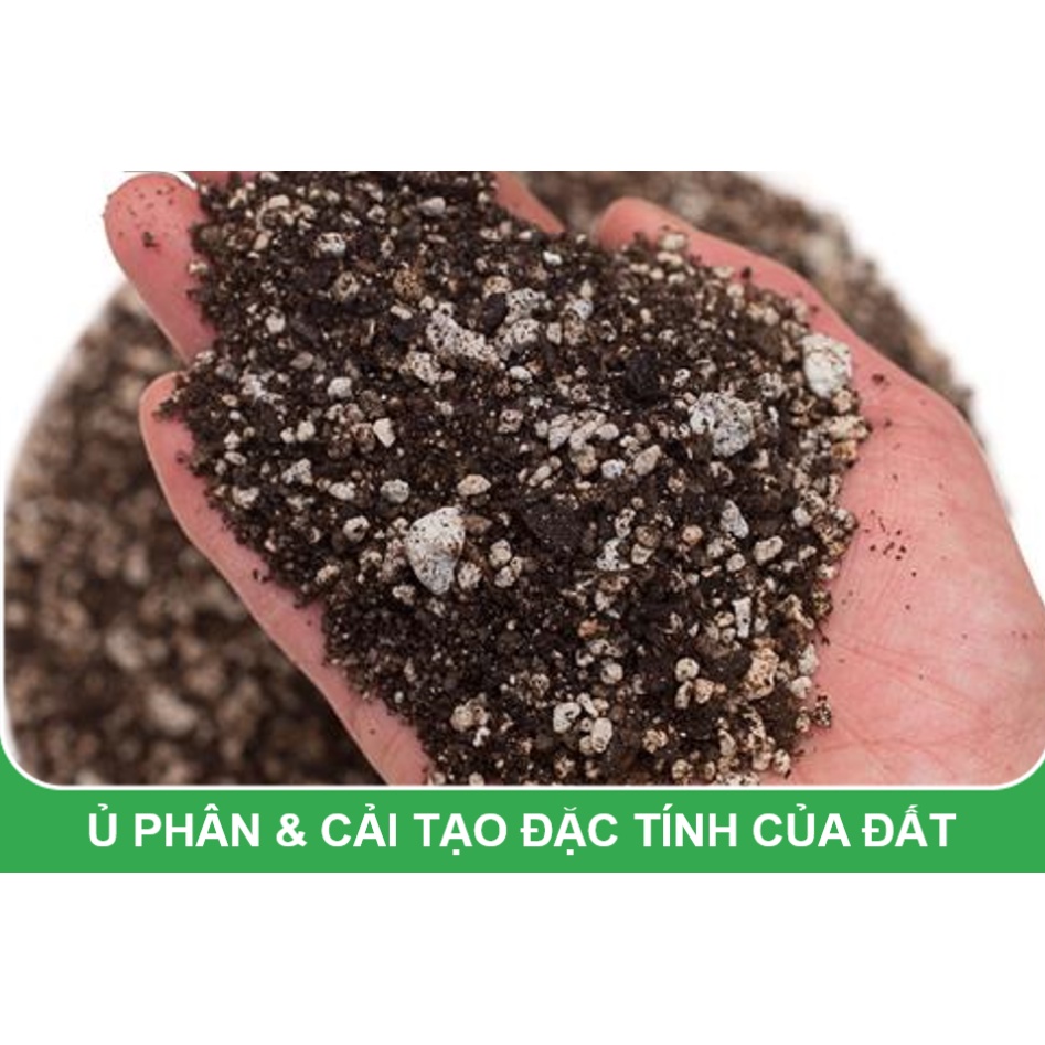 Đá Pumice size 5-8mm, bao 50l - dùng lót chậu, rải bề mặt sen đá, xương rồng, bonsai