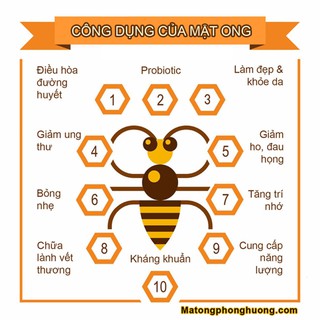 [NGUYÊN CHẤT 100%] Mật Ong Hoa Cà Phê Đaklak