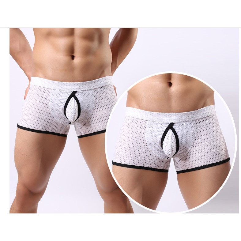 BOXER THUN LƯỚI NAM
