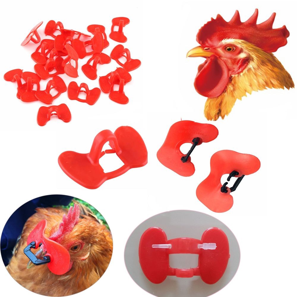 20 mắt kính cho gà