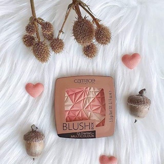 Phấn má hồng Catrice Blush Box Glowing Multicolor