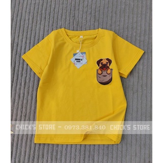 Áo thun cotton 4 chiều bé trai/gái từ 4 -7 tuổi