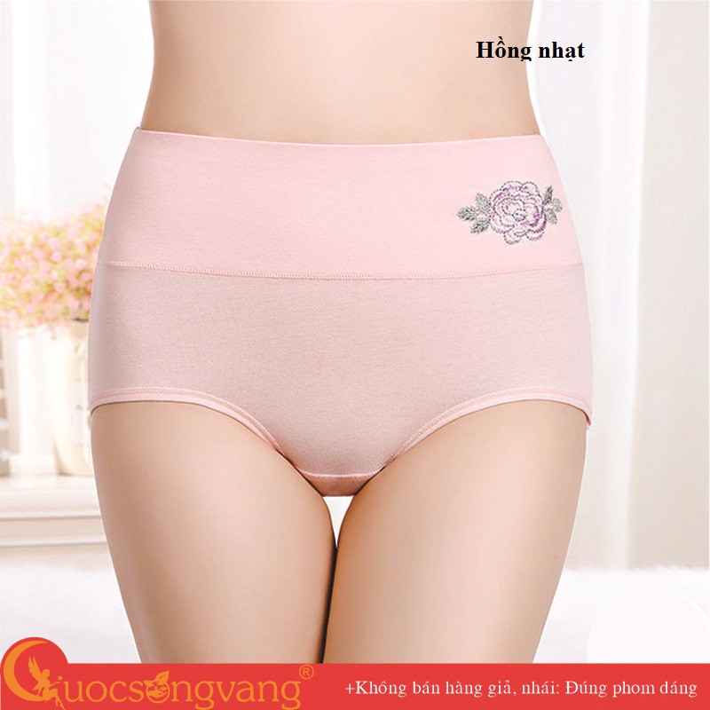 Quần lót nữ lưng cao cotton co giãn quần lót nịt bụng chống cuộn GLDL044 Cuocsongvang