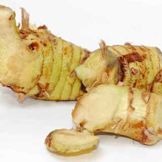 Bột Củ Riềng 100g