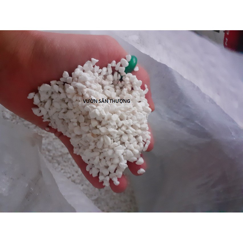 Đá Perlite-  Trân Châu Giá Thể Cao Cấp Trồng Hồng, Dâu Tây, Sen Đá, Xương Rồng