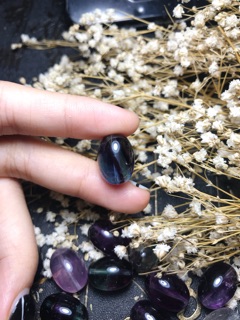 Lu thống florit sale 20-10