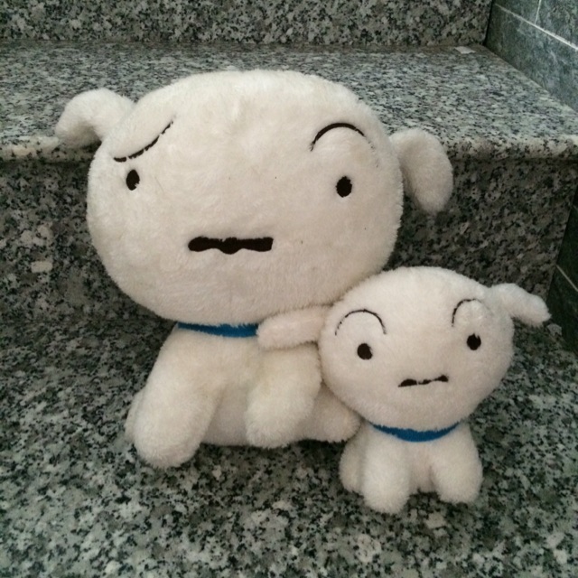 diepnguyentruonggiang