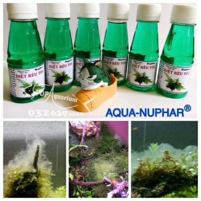 NUPHAR - Diệt rêu tóc - Chuyên dùng hồ cá thuỷ sinh - GuppyXanh