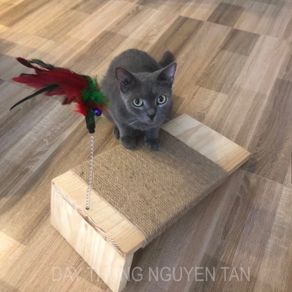 Bàn Cào Móng Bện Thừng SIÊU TO KHỦNG LỒ - Bàn dài 50CM SIÊU BỀN Cho Mèo - Giúp Mèo Xả Xì Trét