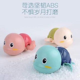 Rùa  bơi vặn cót