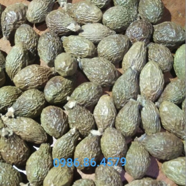 Hạt ươi (hột đười ươi) kon tum 1kg hút chân không