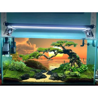 [Tặng Đồ Dán+Sticker] Tranh 3d dán bể cá trang trí bể cá nhiều kích thướt chọn lựa mã tranh