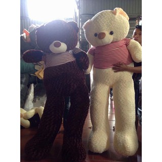 Gấu bông Teddy khổ 1m2 siêu đẹp