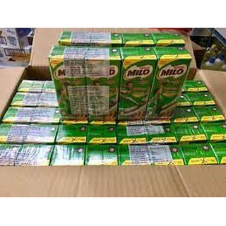 1 Lốc Sữa Milo (Thái Lan) 180ml/Hộp