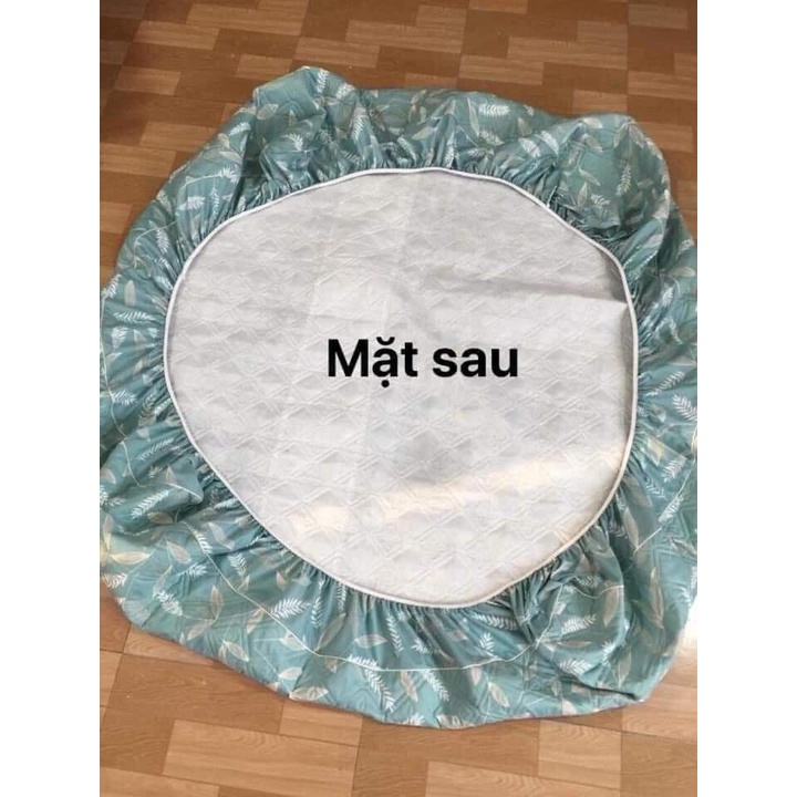 [Thanh lý lỗ xả hàng b0m] Lẻ ga trần bông bo chun mẫu Lá tre size 1m8x2m - Drap lót bông (không kèm vỏ gối)