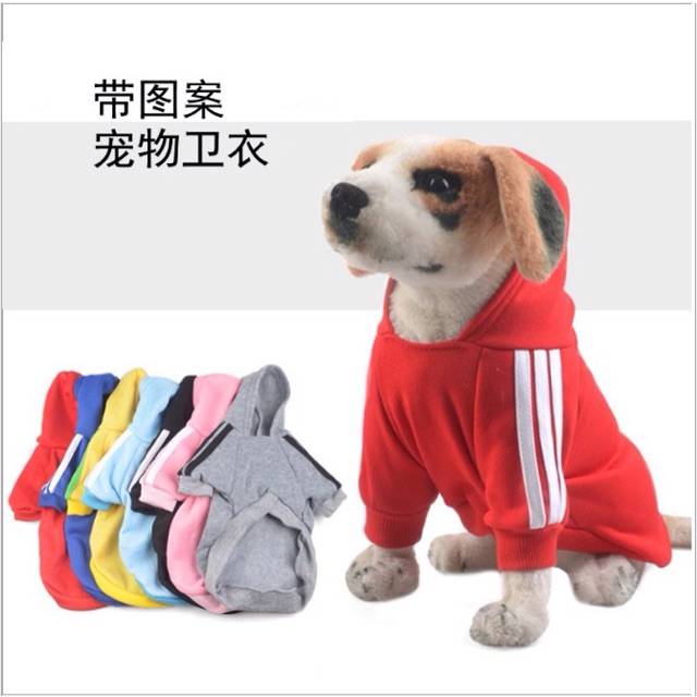 (TOANHUYEN12) Áo cho boss
