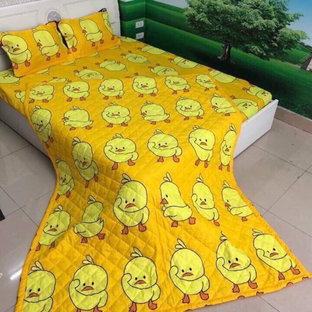 Bộ Drap Giường 5 Món Cotton Gồm Mền Hè + Drap + 2 Áo Gối + Áo Gối Ôm Đủ Kích Cỡ 1m2 1m4 1m6 1m8 2m2 Album 2022-01