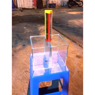Hồ cá betta dán dấu keo