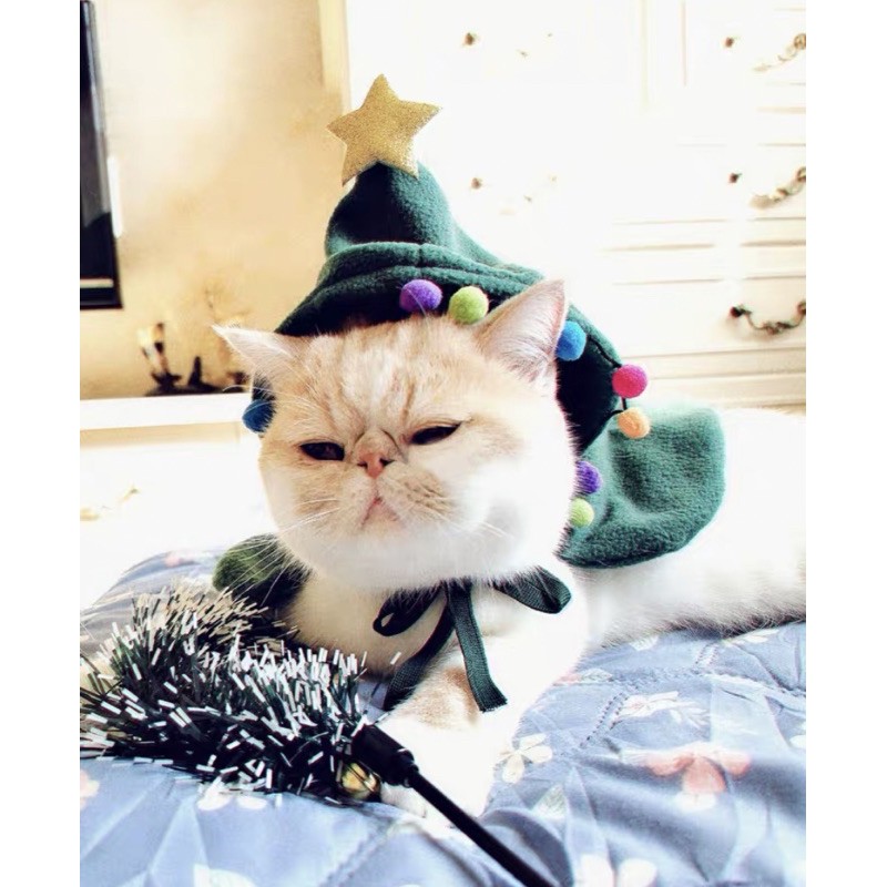 ÁO CHOÀNG NOEL CHO MÈO