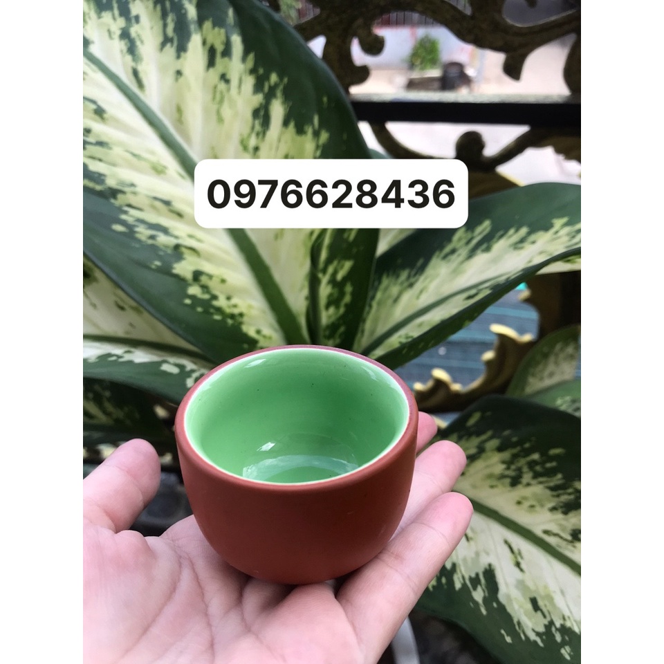 Chén trà gốm tử sa Bát Tràng dung tích 50ml
