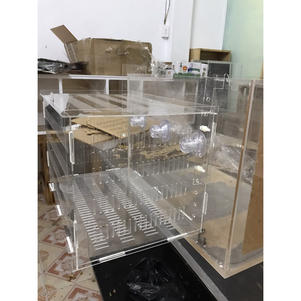 Bể Acrylic. Hít chân không treo lồng dưỡng cá, tép, san ho