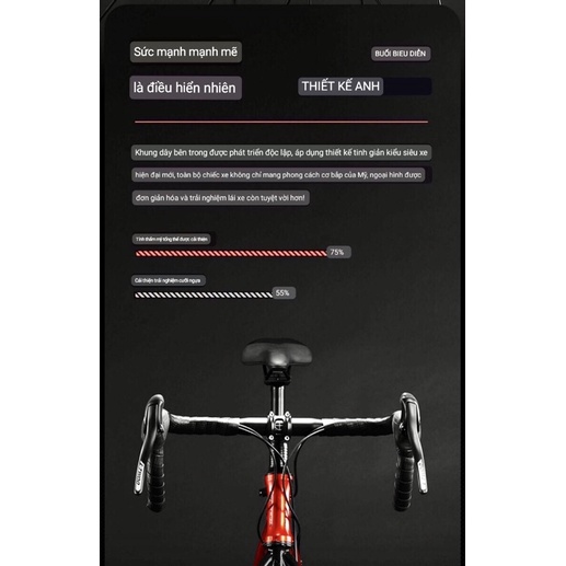 Xe đạp philip Khung nhôm , xe đạp nam nữ siêu nhẹ. Phi nước đại chỉ 1 giây
