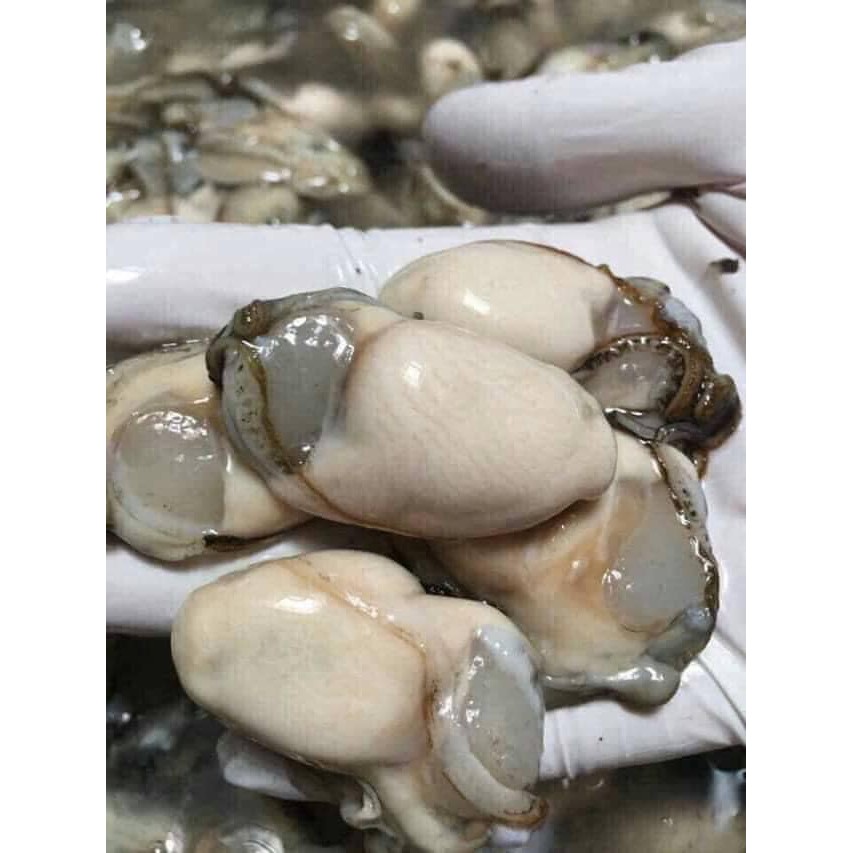 Ruột hàu quảng ninh cực ngon 500GR