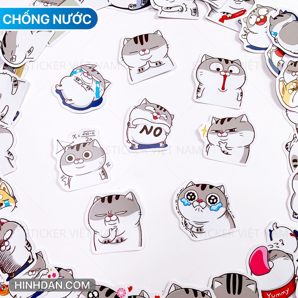 Mèo Ngộ Nghĩnh Chất Liệu PVC Cao Cấp Chống Thấm Nước Dán Trang Trí | Sticker Việt Nam