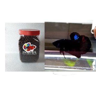 Cám betta Black Red - Black Blue - Black Galaxy. Sung khỏe >4th.