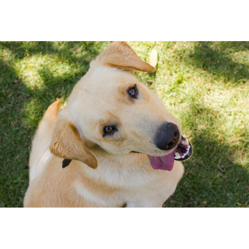 Ống kính máy ảnh Quantaray 28mm f1.8 AF Sony A  - 12925