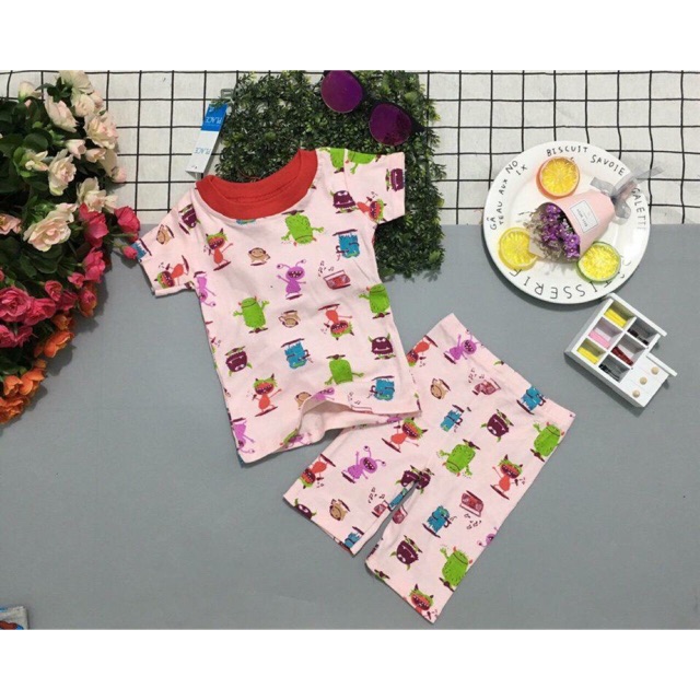 Combo bộ bozip chị NgocMy