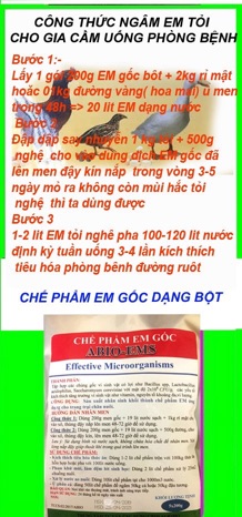 Chế phẩm EM gốc dạng bột
