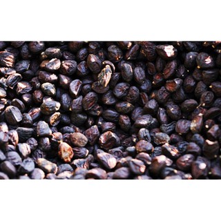 Hạt Dổi Mường Rừng Tây Bắc 500g
