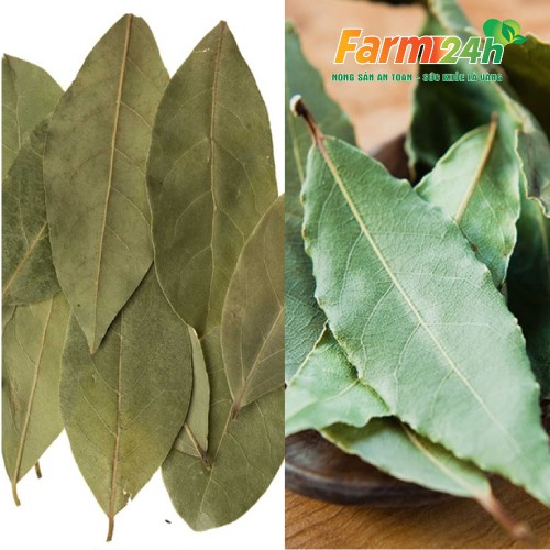 Lá nguyệt quế sấy khô tốt cho tiêu hóa, giảm đau hiệu quả, ngừa cảm cúm, làm đẹp da mặt, gia vị cho các món ăn | Farm24h