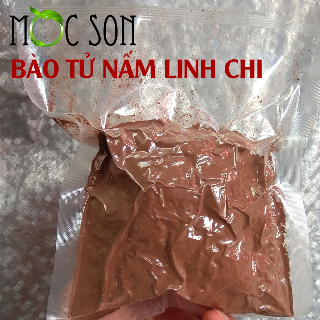 [Mã GROSALE2703 giảm 8% đơn 250K] 100G BÀO TỬ NẤM LINH CHI THƯỢNG HẠNG MỘC SƠN